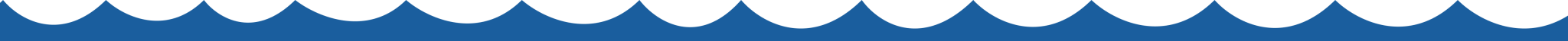 Vector Graphic for Designer Plunge Pools