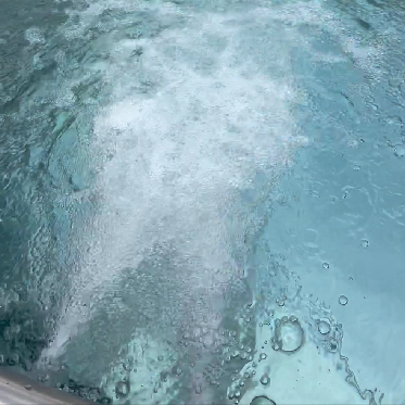Plunge Pool Pump